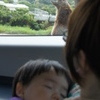 猛獣エリアで爆睡中