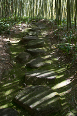 散歩道