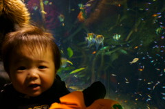 初めての水族館