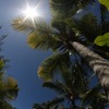 sunshine