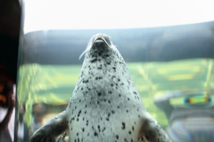 ＠旭山動物園