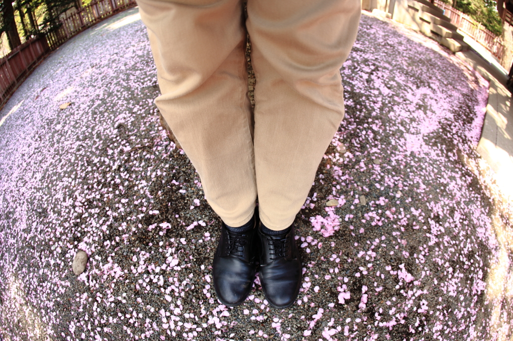 ようこそ桜の園