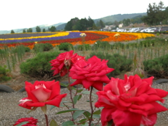 201308070001