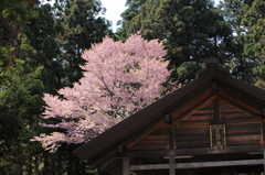 開拓神社境内