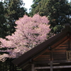 開拓神社境内