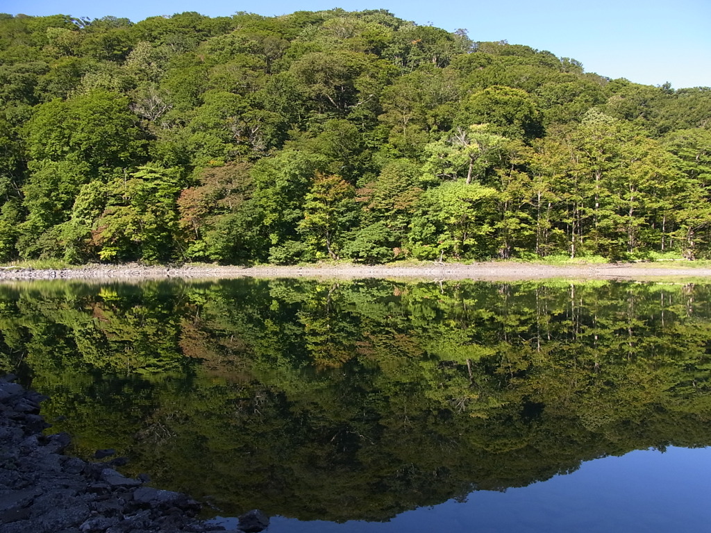 湖面４