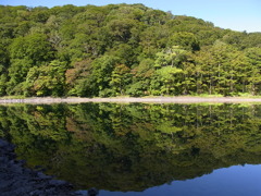 湖面４