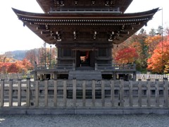 塔基