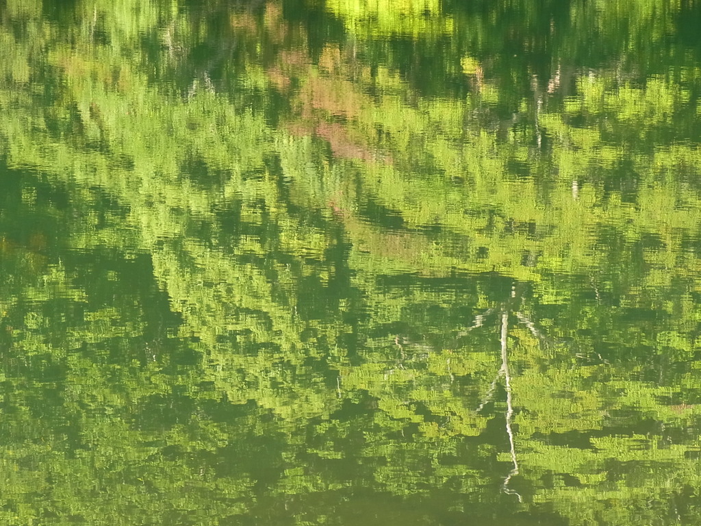 水面２