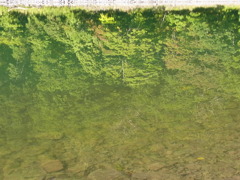 水面１