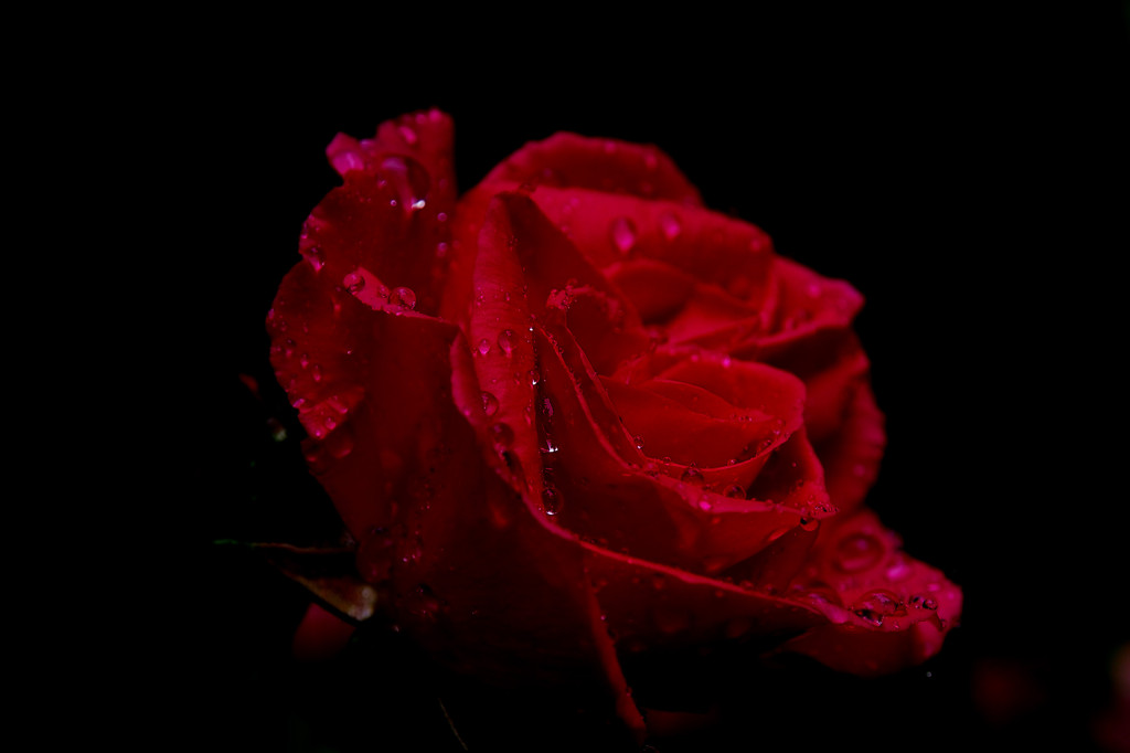 P7011519