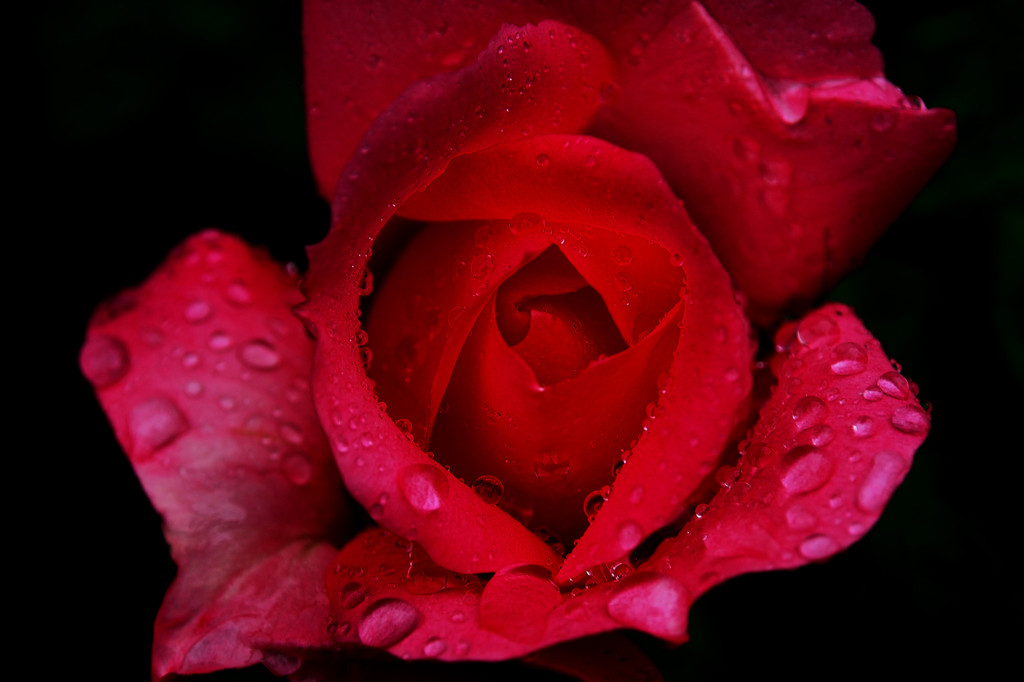 P7011509