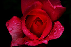 P7011509