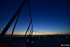 NSC_3565