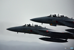 NSC_6124