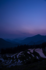 棚田の夕景