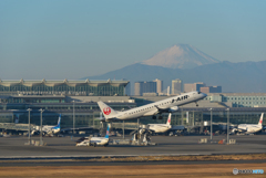 新春