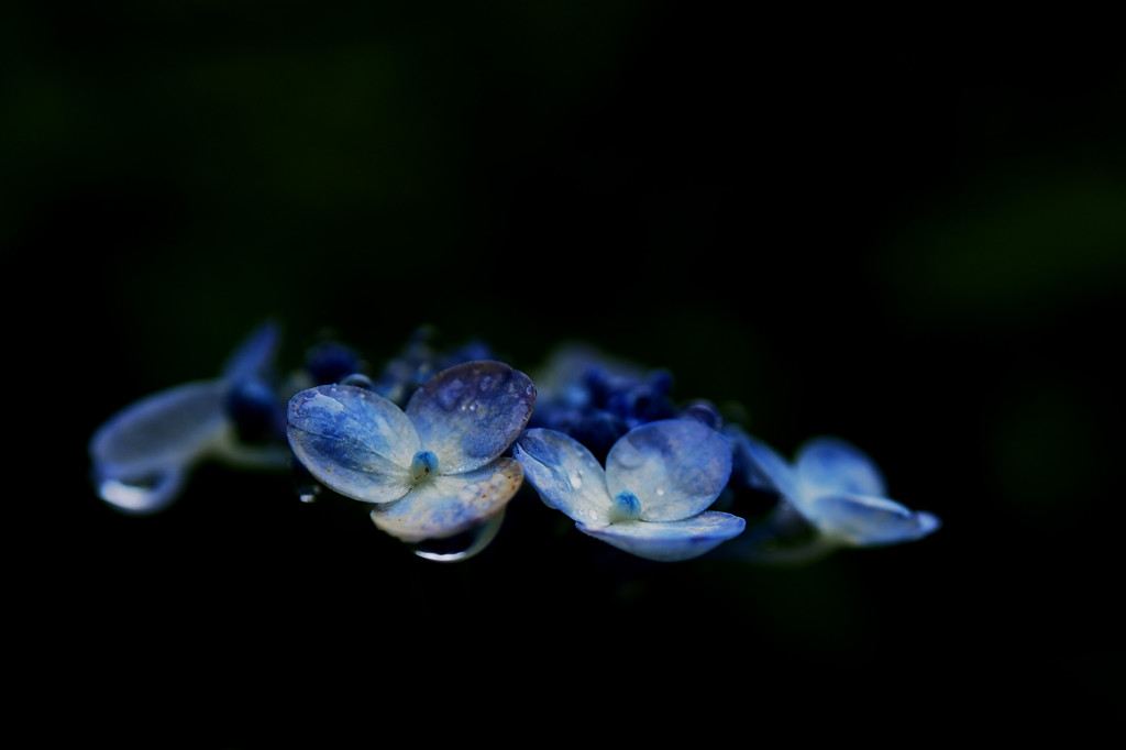 P6161098