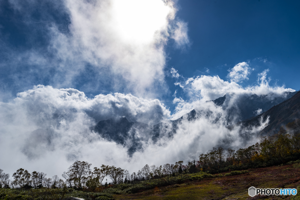 栂池高原自然園