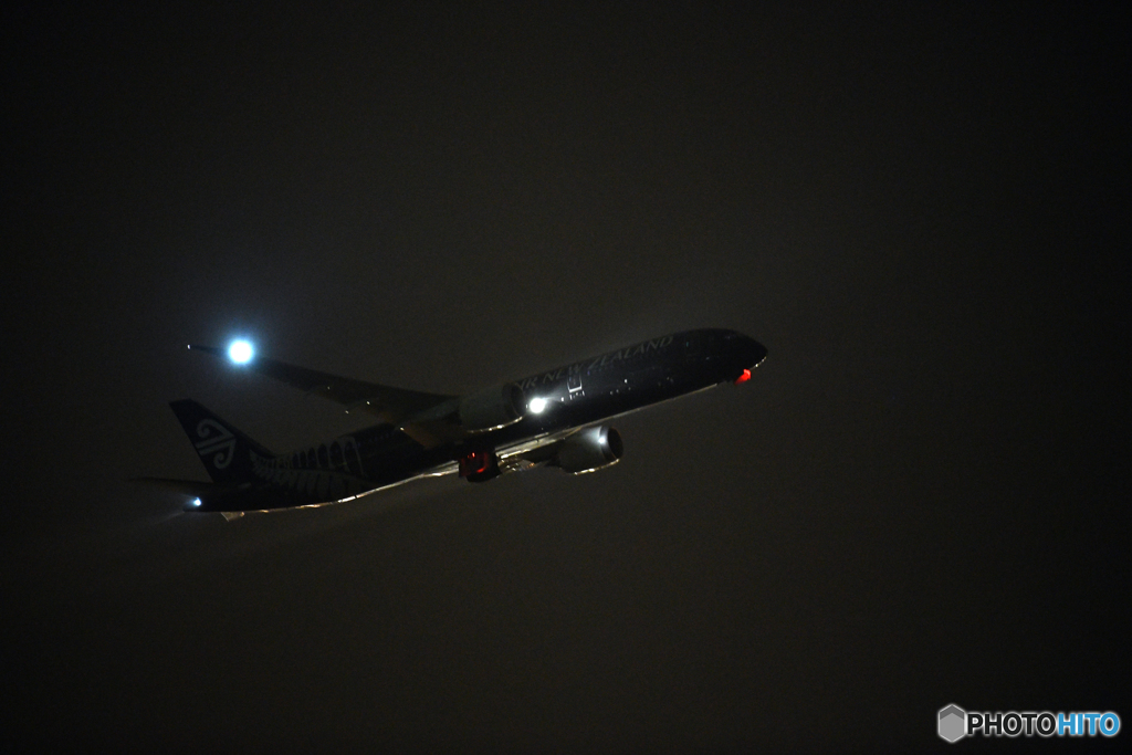 BLACK　BIRD