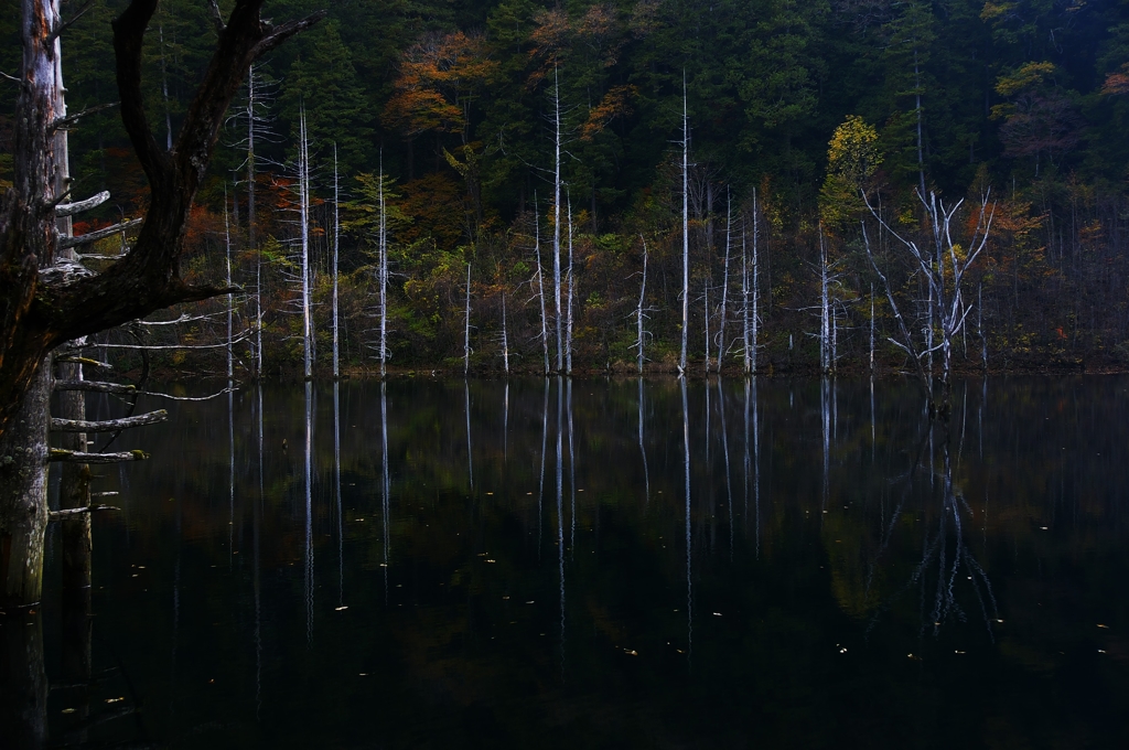 静寂