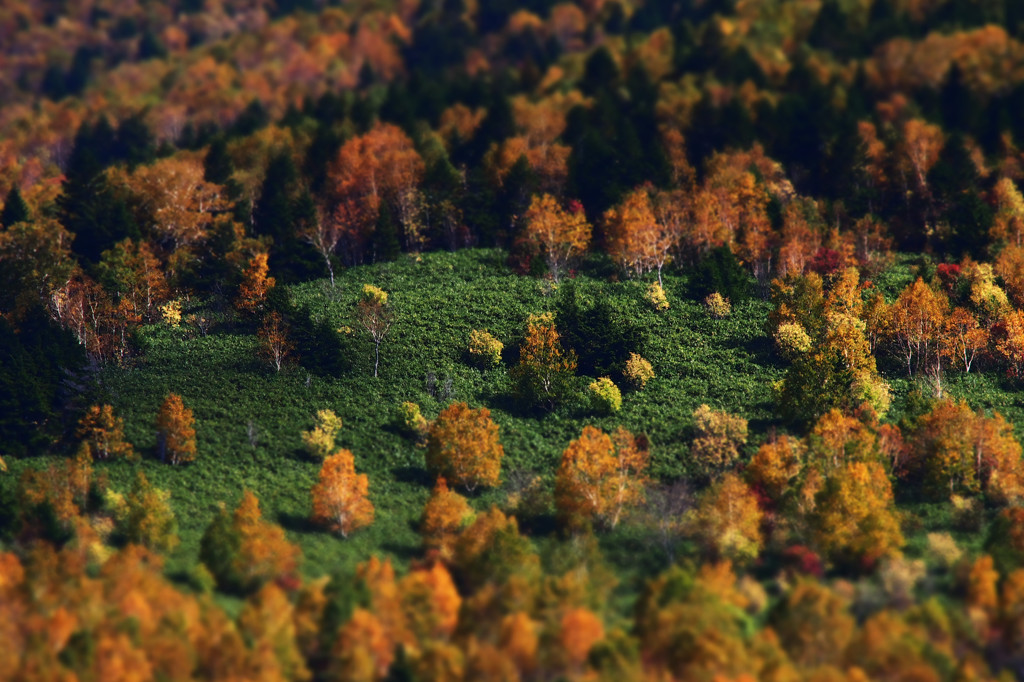 ミニチュア志賀シリーズ２