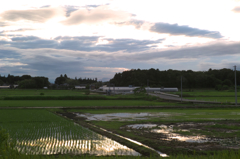 雨上がりの田園ー夕景色　　1404-2