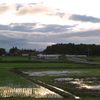 雨上がりの田園ー夕景色　　1404-2