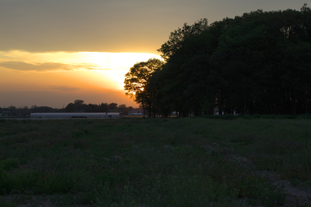 里山の春　夕暮れ