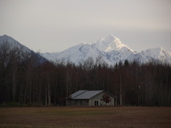 アラスカ　秋４