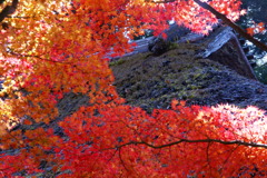 五家荘の紅葉
