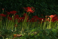 DSC02819