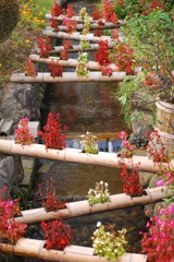 彩りの水路