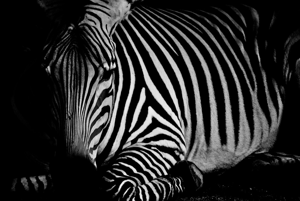 B＆W