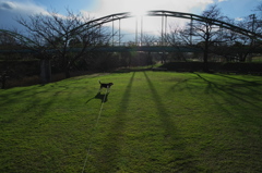 夕暮れの公園