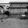 Something Transitory #8