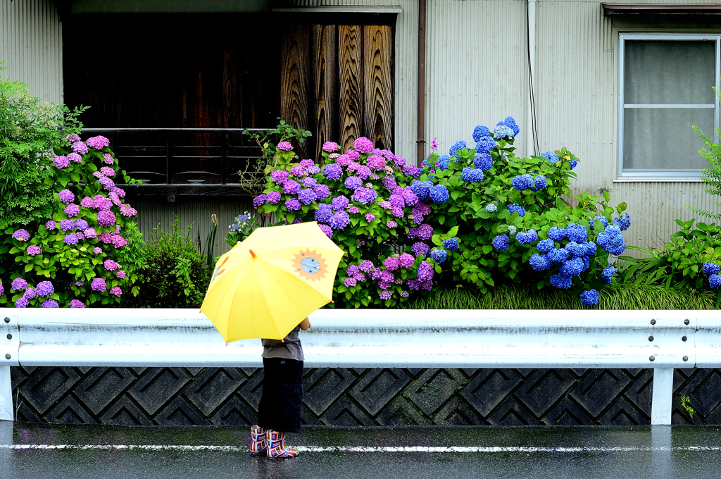 梅雨のイメージ