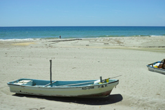 Ships on the coast