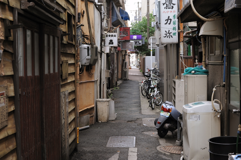 Lonesome Holiday #5
