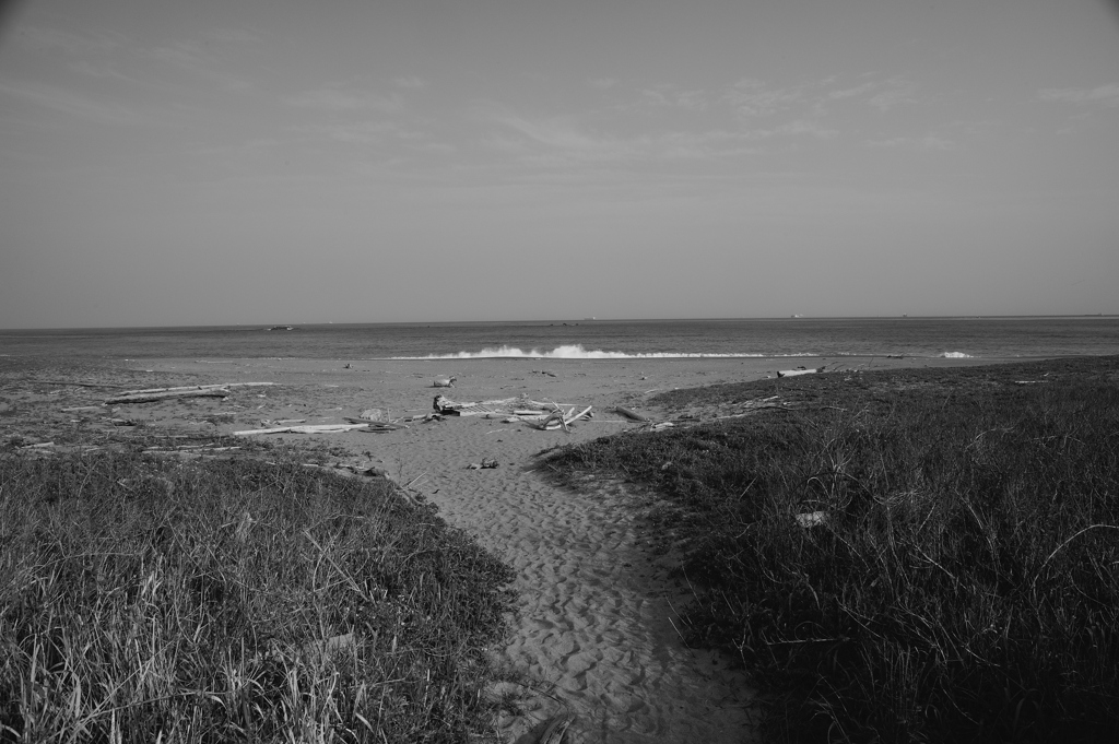 To The Sea