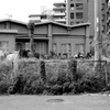 緑区風情 #1