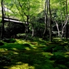 Kyoto Green
