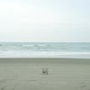 Lonesome Holiday