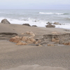 Lonesome Holiday #6