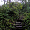 Kumano trail #2