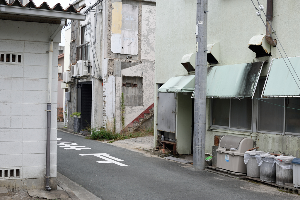 Toyohashi Snap #1