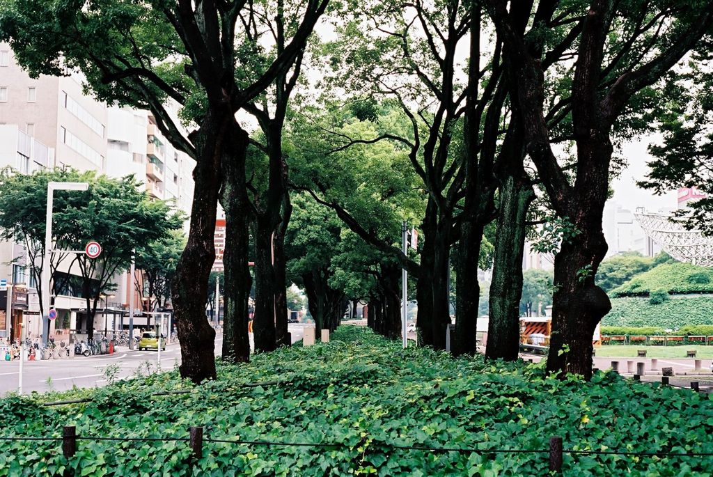 Sakae Green
