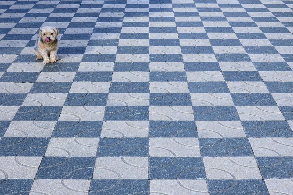 Checkmate!?
