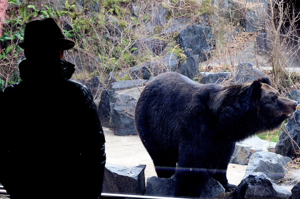 Nagoya ZOO #11