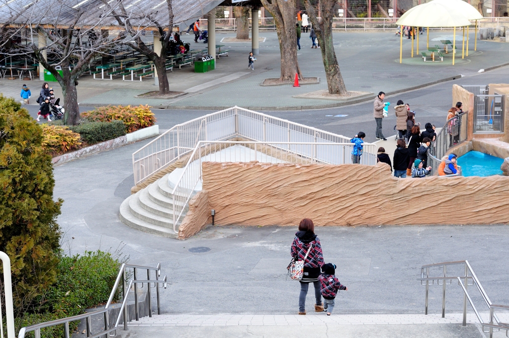 Nagoya ZOO #13